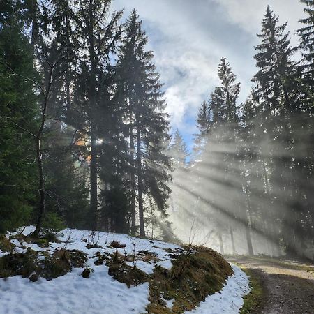 Ferienwohnung Herzlicht Titisee-Neustadt Extérieur photo